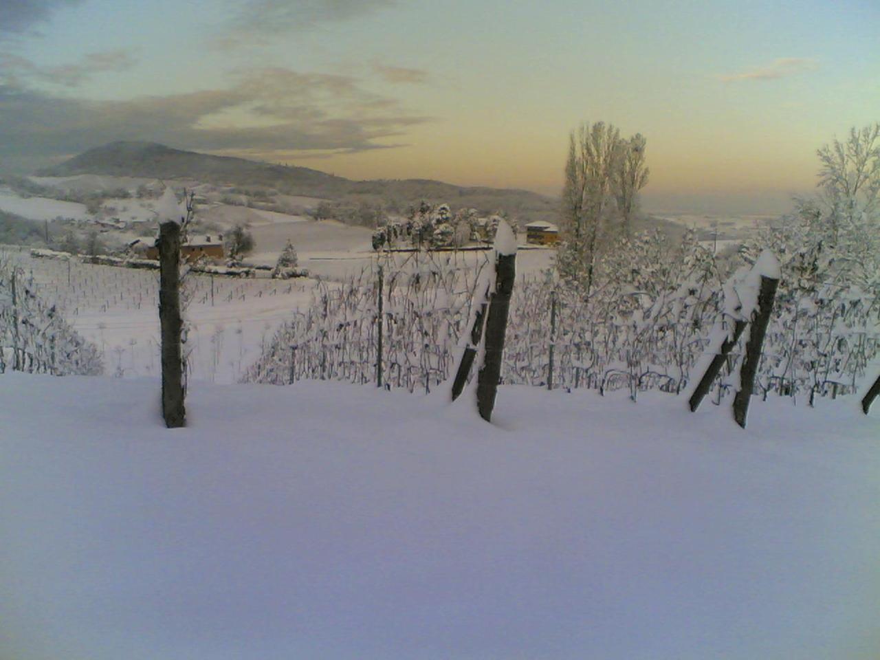 Villa Pallavicini B&B แซร์ราวัลเล สกรีเวีย ภายนอก รูปภาพ