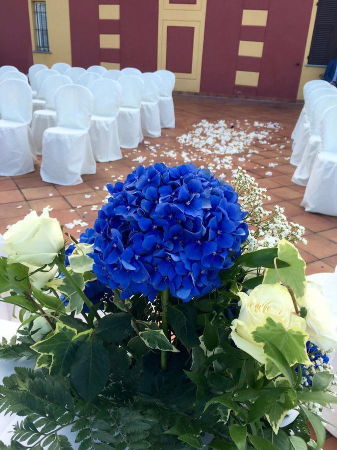 Villa Pallavicini B&B แซร์ราวัลเล สกรีเวีย ภายนอก รูปภาพ